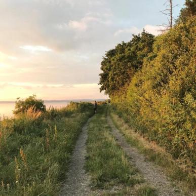 Mand på vandresti ved Borre Knob ved Horsens Fjord