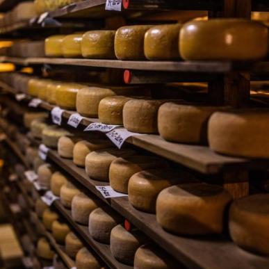 Økologisk gårdmejeri i Sondrup nær Odder har oste på rækker
