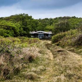 Sommerhus i den vilde natur