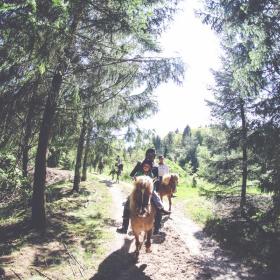 Fuglsang Rideture