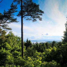 Sondrup Bakker Horsens Fjord