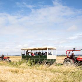 Rød traktor guidet tur på Hjarnø