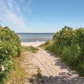 Sti ned til fin sandstrand ved Odder-kysten i Destination Kystlandet