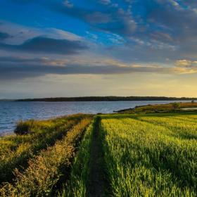 Solnedgang på mark ved Hjarnø