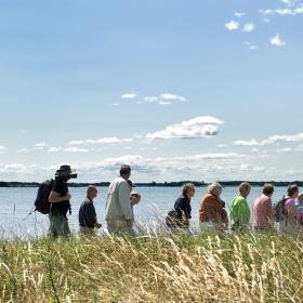 En større gruppe går tur ved Horsens Fjord