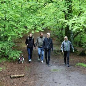 Familie går tur med hund i skoven