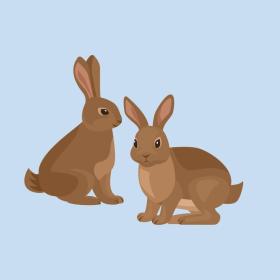 Illustration af kaniner på Kaninoen på Årets Ø Endelave i Det Østjyske Ø-hav - en del af Destination Kystlandet