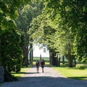 The park at Palsgaard Manor in Juelsminde 