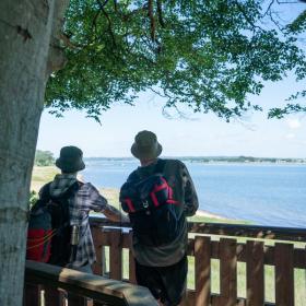 Udsigtstårnet ved Tønballe Skov