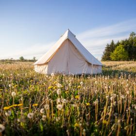 Glamping-telt på mark hos Holmely