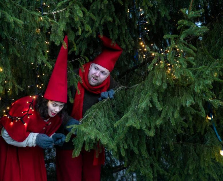 Nisser til juletræ tænding