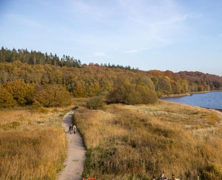 Kyststrækning ved Vejle Fjord