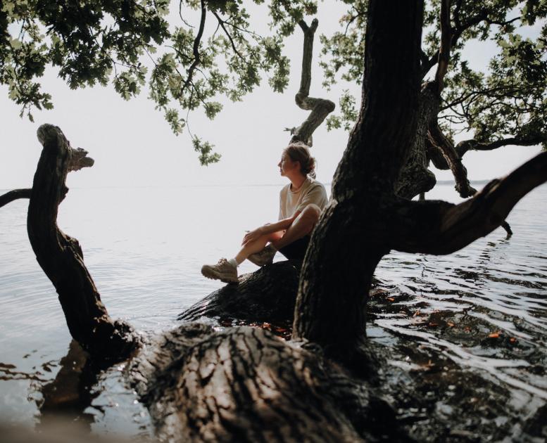 Woman sitting in a tree at Horsens Fjord in Denmark 