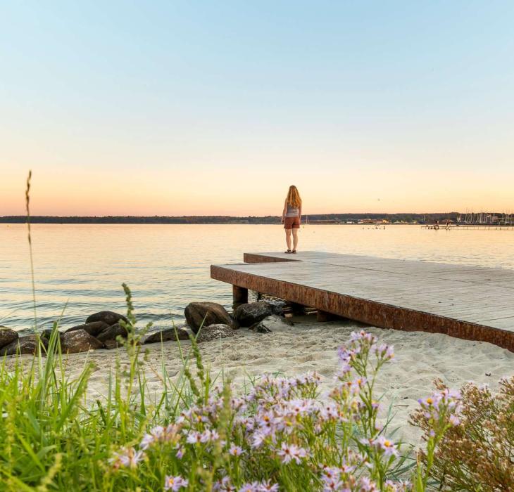 På Fjordmino langs Horsens Fjord